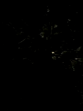 Snapshot of Hancoxx chatting on July 22, 9:17 pm Hancoxx online show from July 22, 9:17 pm