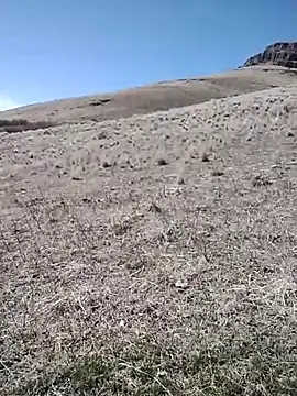 Snapshot of rockpimp chatting on March 9, 6:56 pm rockpimp online show from March 9, 6:56 pm