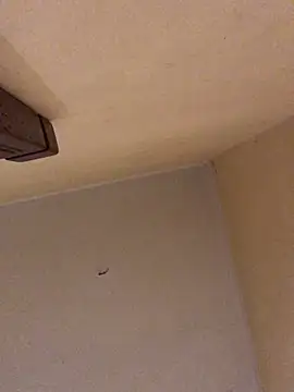 Snapshot of ClatteryPrexy chatting on March 19, 12:58 am ClatteryPrexy online show from March 19, 12:58 am