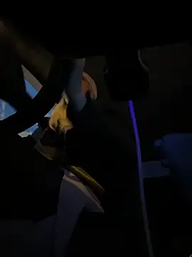 Snapshot of MerlinDave chatting on November 5, 1:05 am MerlinDave online show from November 5, 1:05 am