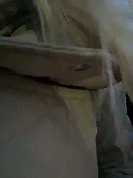 Snapshot of MerlinDave chatting on December 3, 2:08 am MerlinDave online show from December 3, 2:08 am