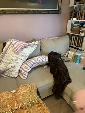 GingerSnap33 online show from January 18, 6:34 pm