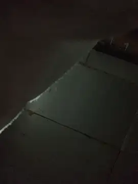 Boysex227 online show from December 5, 2:36 pm