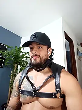 SilvaBranko online show from December 17, 12:49 am