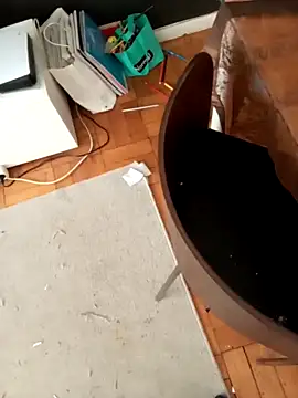 Gigolo profissional online show from October 14, 11:00 am