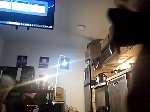 Armyexhibitionistvet online show from November 26, 4:52 pm