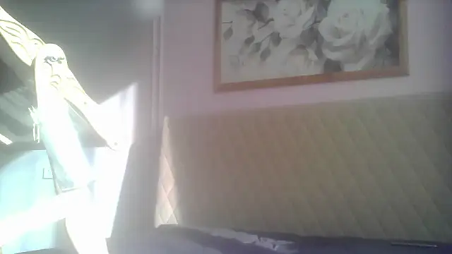 Snapshot of SunElizabeth chatting on June 12, 2:43 am SunElizabeth online show from June 12, 2:43 am