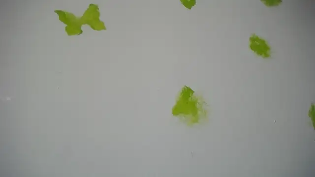 RACHELL  HOT online show from September 30, 6:35 pm