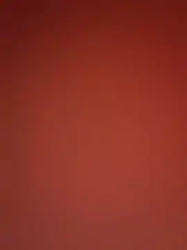 Snapshot of kikkastar chatting on December 25, 10:59 pm kikkastar online show from December 25, 10:59 pm