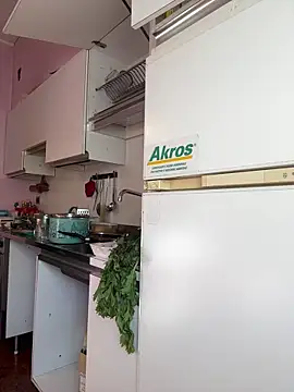 Snapshot of Sunbelxx chatting on November 4, 8:46 am Sunbelxx online show from November 4, 8:46 am