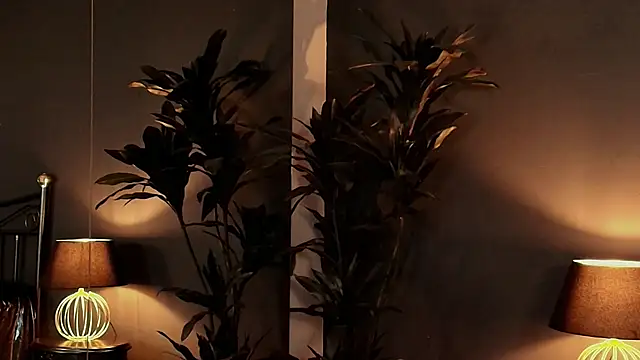 MyMayte online show from January 15, 12:36 pm