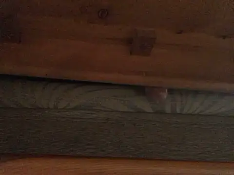 Snapshot of Dicksexhandjob chatting on February 21, 1:33 pm Dicksexhandjob online show from February 21, 1:33 pm