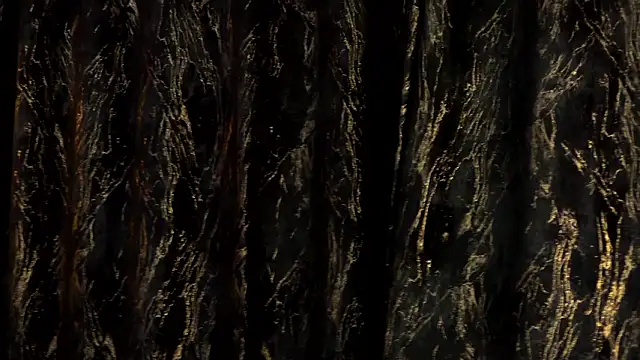 Snapshot of MiaCharm chatting on February 24, 11:47 pm MiaCharm online show from February 24, 11:47 pm