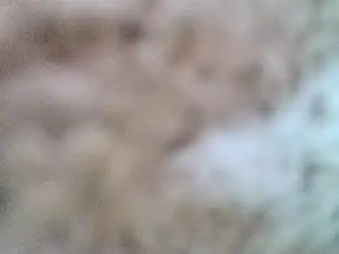 Snapshot of DaddyQuimHot chatting on February 9, 12:08 pm DaddyQuimHot online show from February 9, 12:08 pm