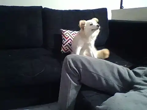 KikiLovesD online show from December 31, 8:34 pm