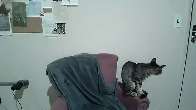 bbyedarling online show from November 6, 1:50 am