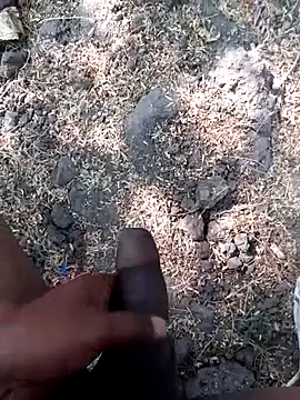 Ajith mvi online show from March 12, 9:48 am