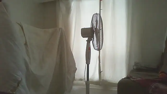 thekeys online show from November 6, 10:38 am