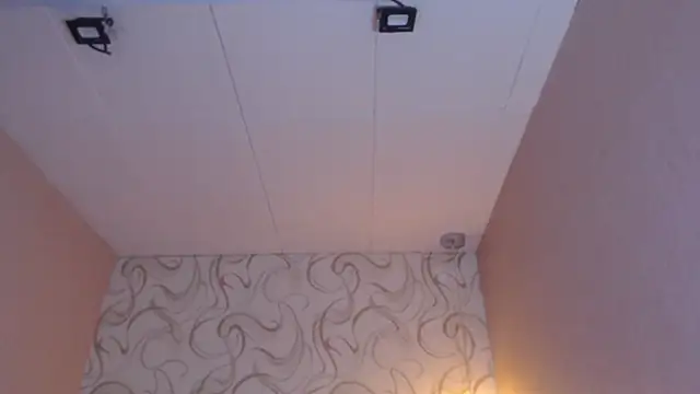 Snapshot of LiaHarryis chatting on March 15, 1:07 pm LiaHarryis online show from March 15, 1:07 pm