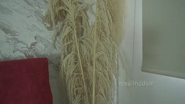 roselinedior online show from December 1, 1:38 pm