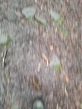 FreezingTie850 online show from March 10, 2:33 pm