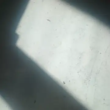 ScrawnyMotor3 online show from April 22, 10:06 am