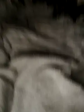 Snapshot of Tigerhill2023 chatting on October 27, 9:13 am Tigerhill2023 online show from October 27, 9:13 am