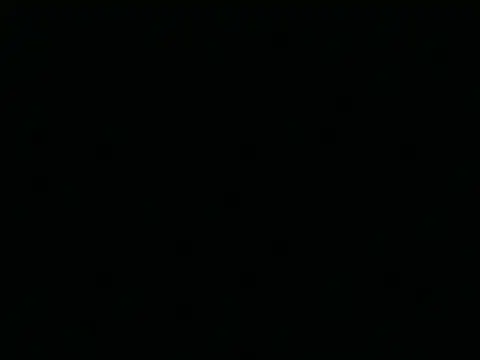 Tigerhill2023 online show from April 25, 7:33 am