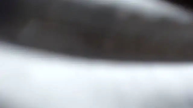 BERNINIBLUSHX89 online show from March 10, 4:03 pm