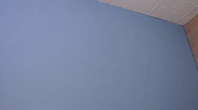 Snapshot of Lilly_macflyy chatting on December 18, 8:03 pm Lilly macflyy online show from December 18, 8:03 pm