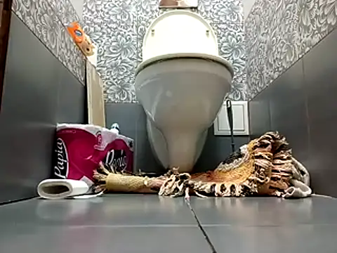 Snapshot of zsd_off chatting on November 8, 12:27 pm zsd off online show from November 8, 12:27 pm