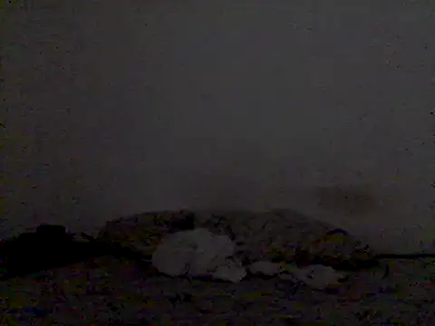 mariy  online show from March 3, 9:48 pm