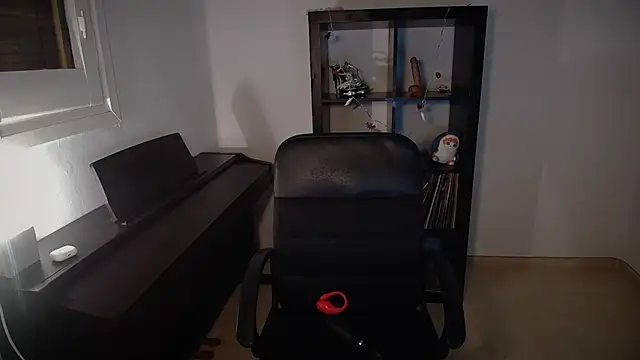 Windy butterfly online show from November 7, 5:35 pm