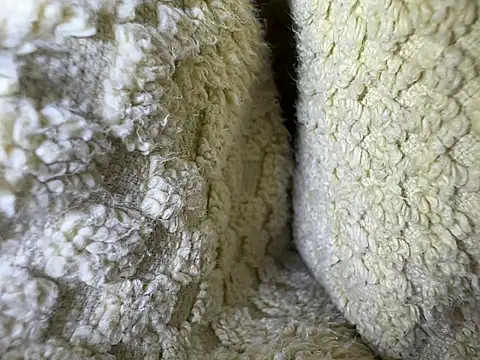 Snapshot of Amarok39 chatting on February 13, 12:54 pm Amarok39 online show from February 13, 12:54 pm