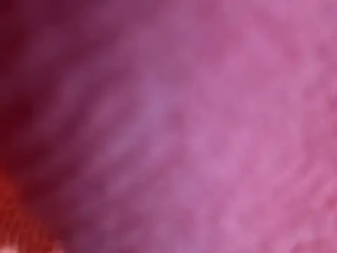 Snapshot of Amarok39 chatting on October 18, 7:47 pm Amarok39 online show from October 18, 7:47 pm