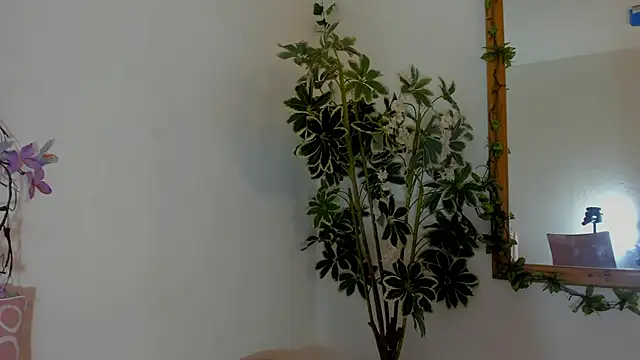 Snapshot of FaloonRoussel chatting on June 22, 6:27 pm FaloonRoussel online show from June 22, 6:27 pm