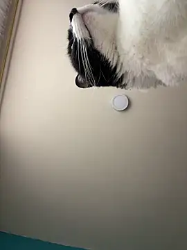 Kimmymadison- online show from January 15, 9:07 pm