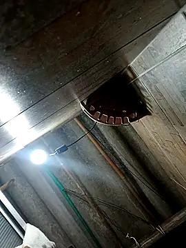 Restrepo300 online show from October 3, 11:13 pm