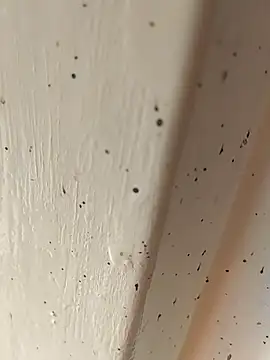 camila picante online show from April 4, 2:47 pm