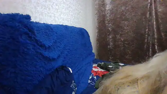 Snapshot of CarlyTreat chatting on November 30, 4:00 pm CarlyTreat online show from November 30, 4:00 pm