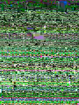 Snapshot of Snehameoww@xh chatting on November 21, 4:16 pm Snehameowwxh online show from November 21, 4:16 pm