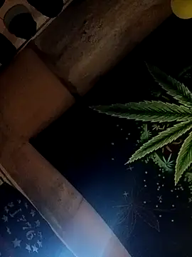 Snapshot of ySqmbVanbe chatting on October 17, 2:41 pm ySqmbVanbe online show from October 17, 2:41 pm