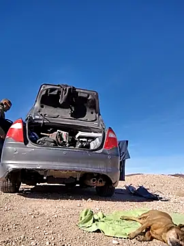 Snapshot of FloppyPickle4u chatting on February 15, 9:37 pm FloppyPickle4u online show from February 15, 9:37 pm