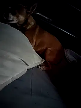 Snapshot of FloppyPickle4u chatting on February 28, 4:31 pm FloppyPickle4u online show from February 28, 4:31 pm