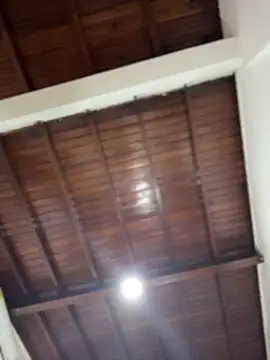 emiss  online show from December 3, 3:10 pm