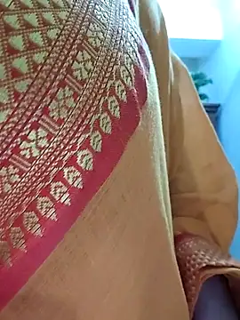 Payel-Sen online show from April 29, 5:30 pm