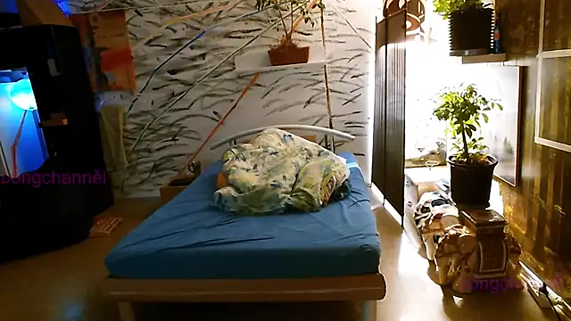 Snapshot of BongChannel chatting on January 2, 11:52 am BongChannel online show from January 2, 11:52 am