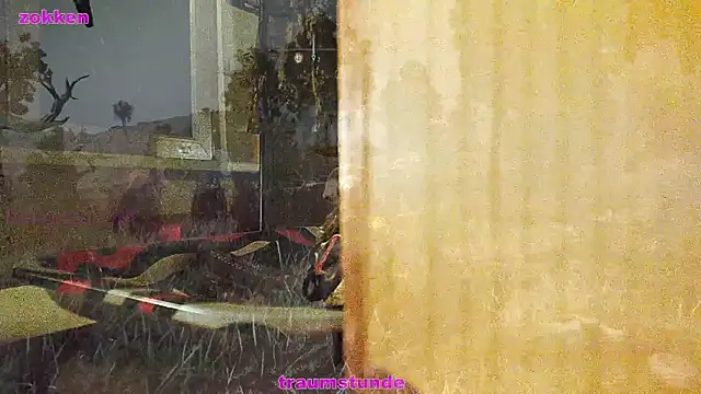 Snapshot of BongChannel chatting on January 21, 6:43 am BongChannel online show from January 21, 6:43 am