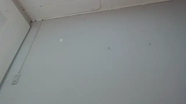 Emma-Wilson online show from March 14, 2:19 pm