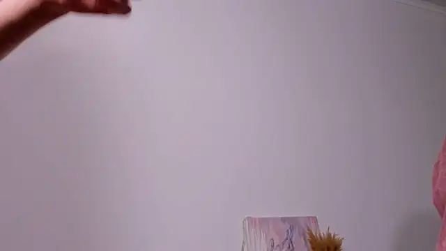 Missalgel online show from November 2, 12:18 pm